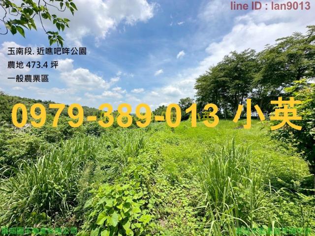 台南玉井農地-0