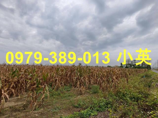 台南鹽水農地-9