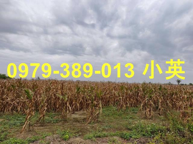 台南鹽水農地-2