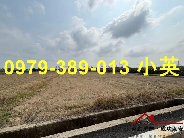 台南新市農地-1