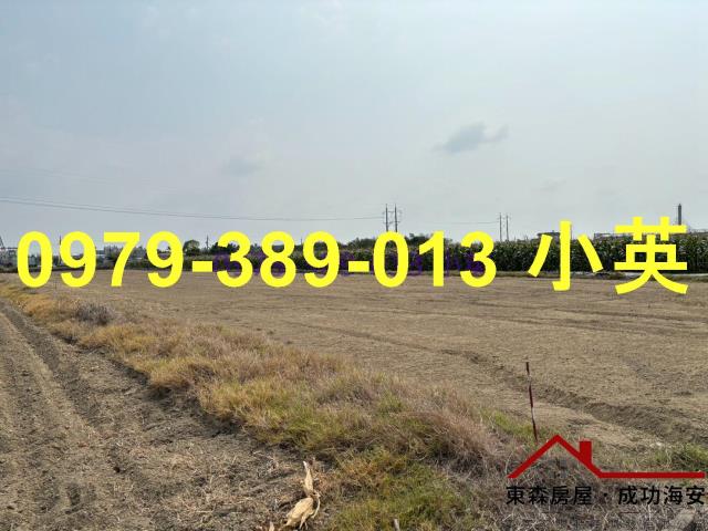 台南新市農地-6